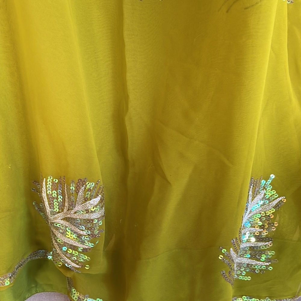 Beautiful saree - Picture 2 of 5